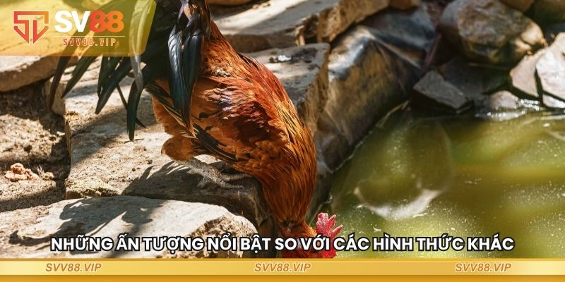 Những ấn tượng nổi bật so với các hình thức khác
