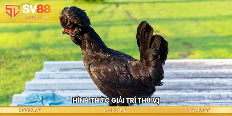 Hình thức giải trí thú vị