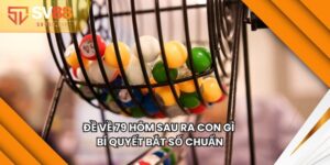 Đề Về 79 Hôm Sau Ra Con Gì - Bí Quyết Bắt Số Chuẩn