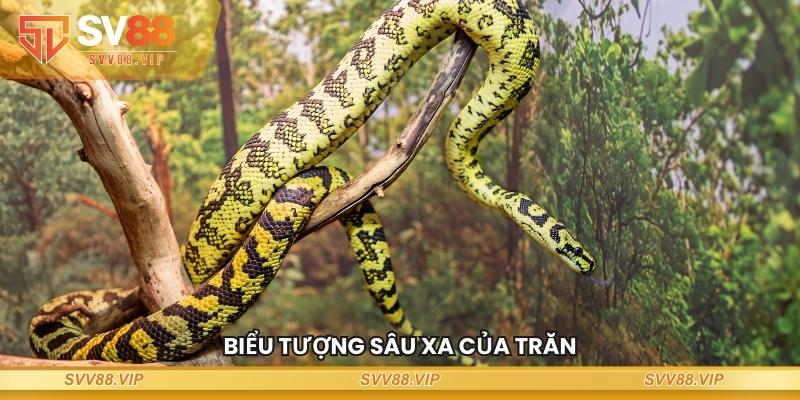 Biểu tượng sâu xa của trăn khi nằm mơ thấy trăn đánh số gì
