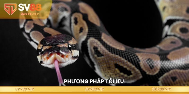 Phương pháp tối ưu nằm mơ thấy trăn đánh số gì