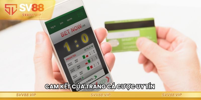 Cam kết của trang cá cược uy tín
